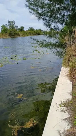 2918 NW 14th Terrace Cape Coral FL 33993