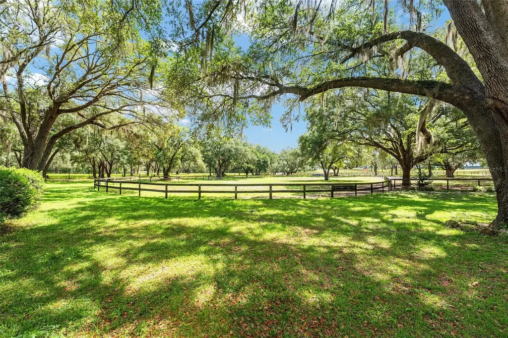 10871 SE County Road 336 Morriston FL 32668