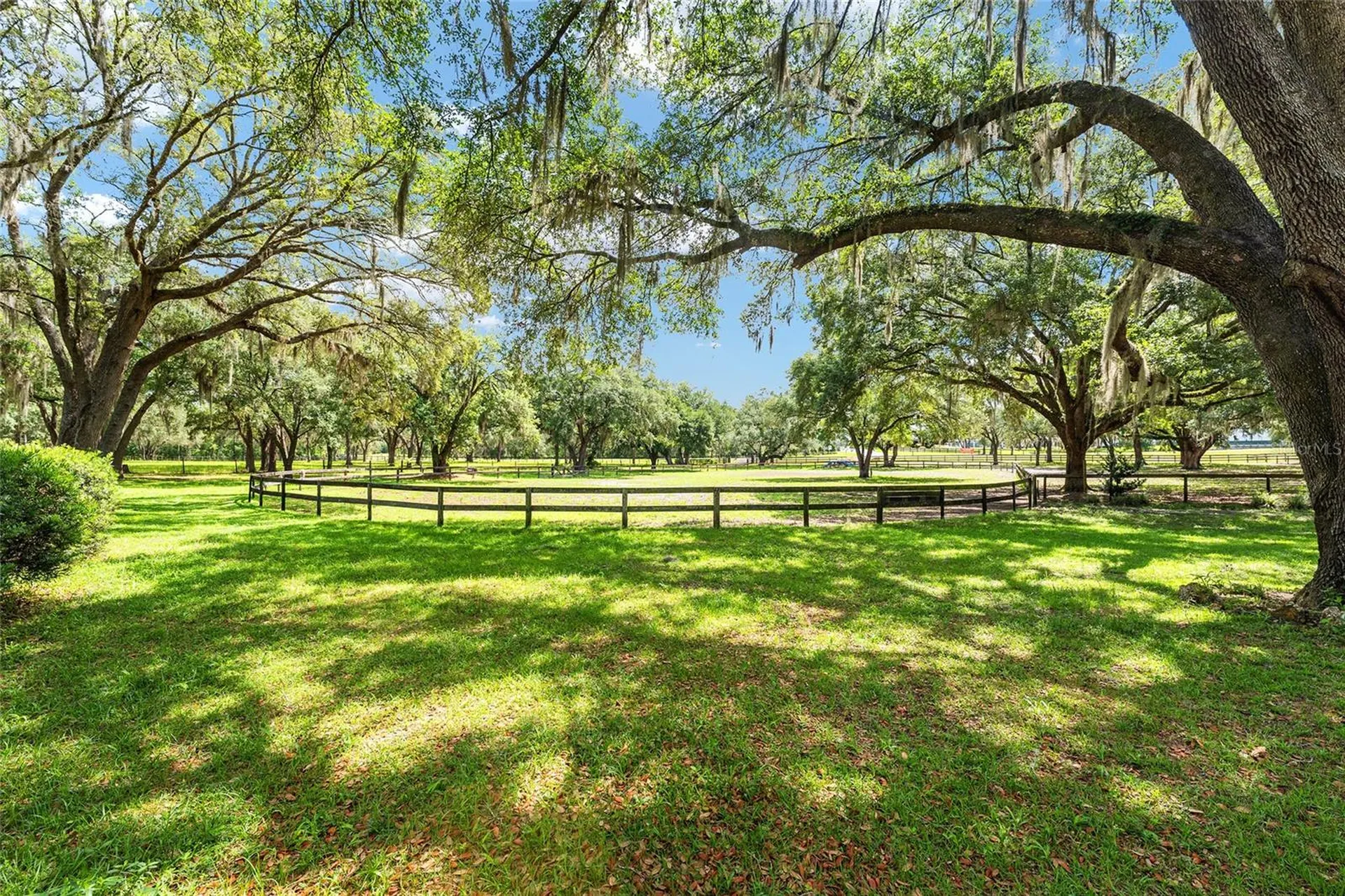 10871 SE County Road 336 Morriston FL 32668