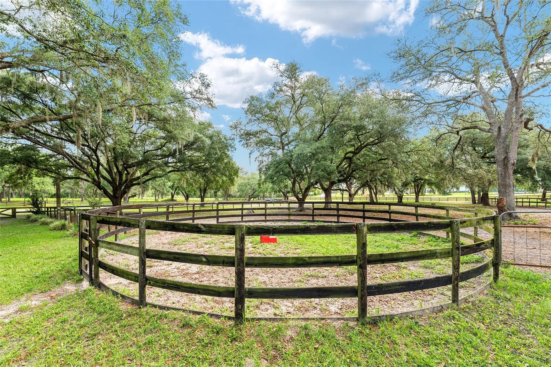 10871 SE County Road 336 Morriston FL 32668