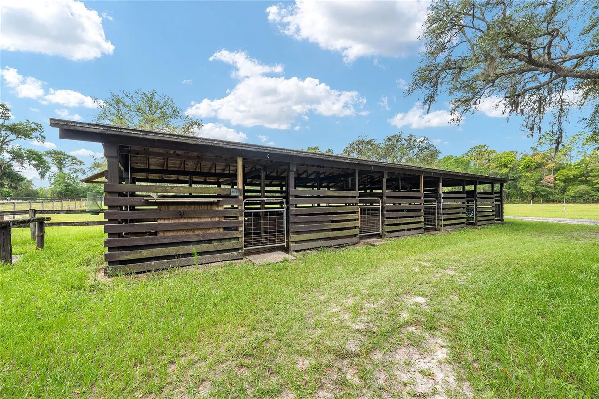 10871 SE County Road 336 Morriston FL 32668