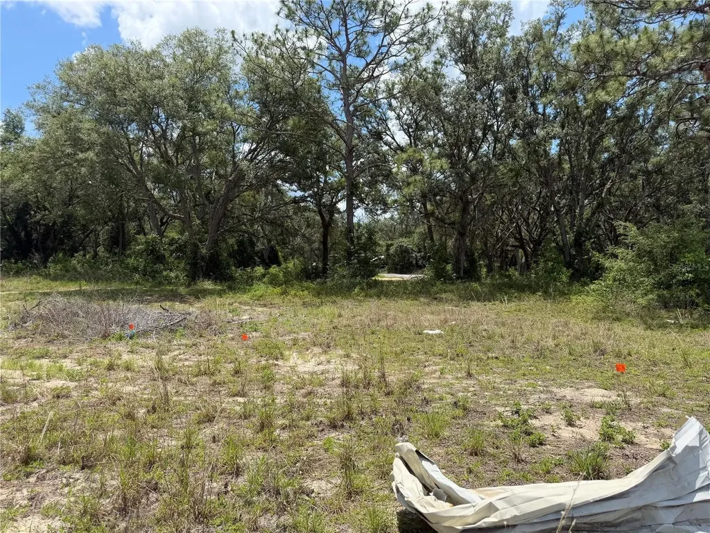 3310 Treiman Boulevard Dade City FL 33523