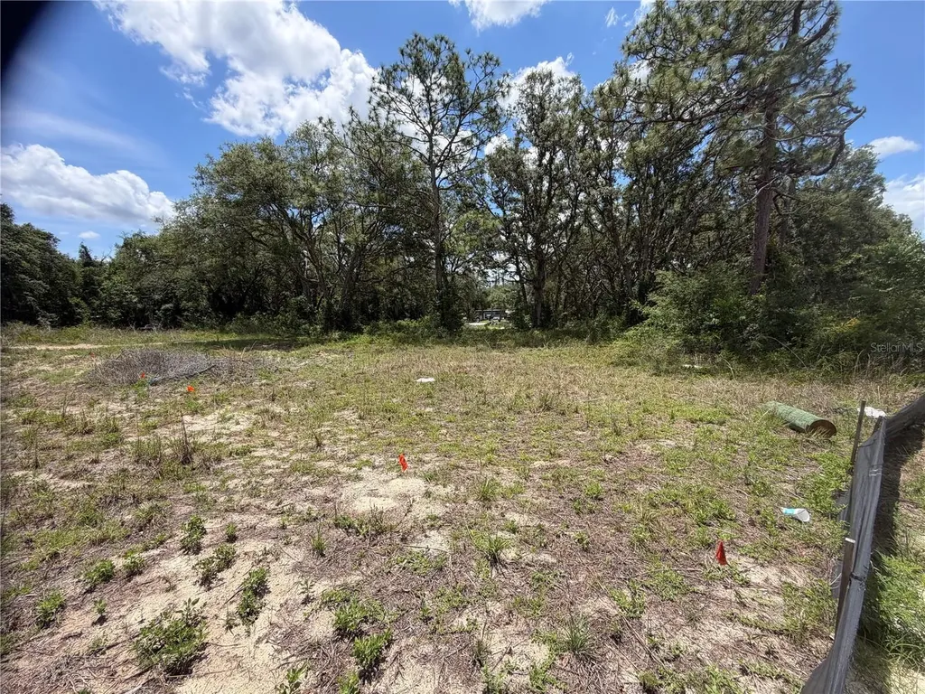 3310 Treiman Boulevard Dade City FL 33523