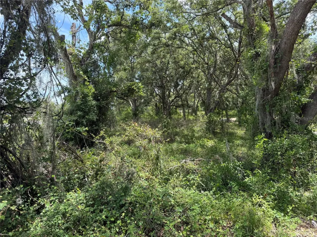 3310 Treiman Boulevard Dade City FL 33523