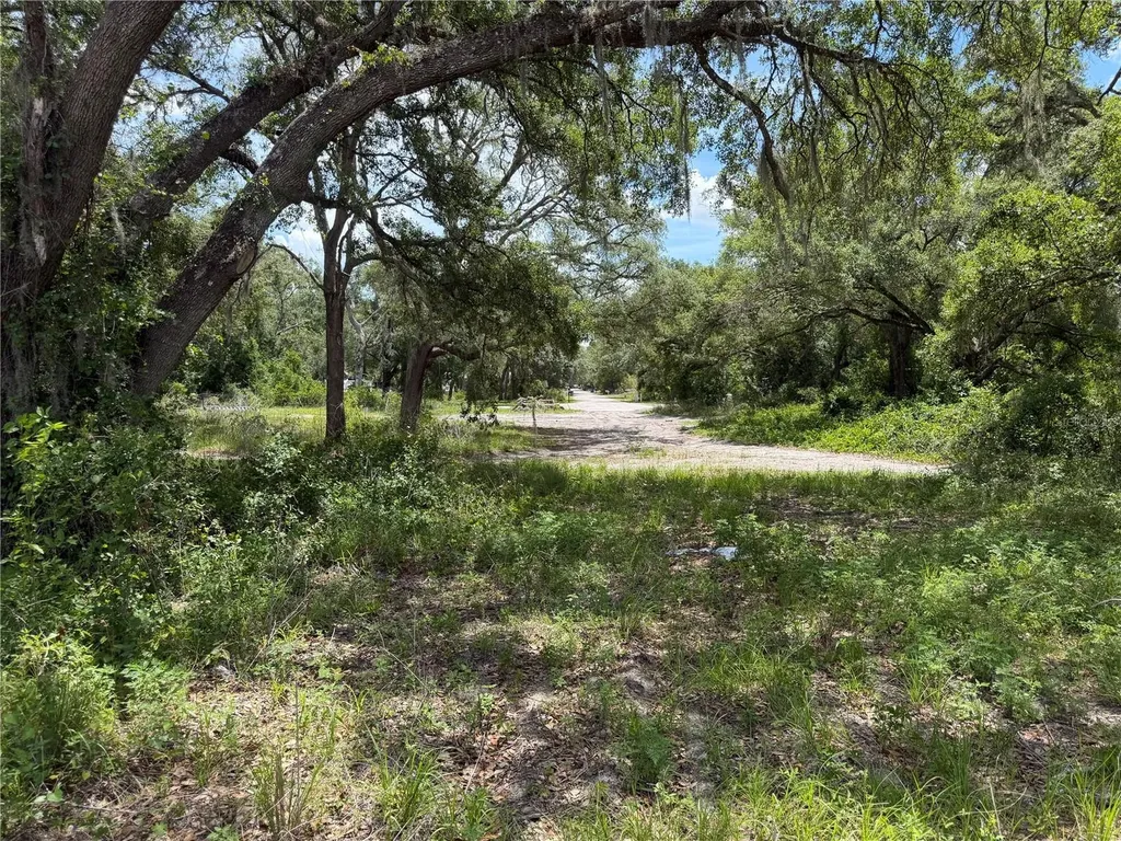 3310 Treiman Boulevard Dade City FL 33523
