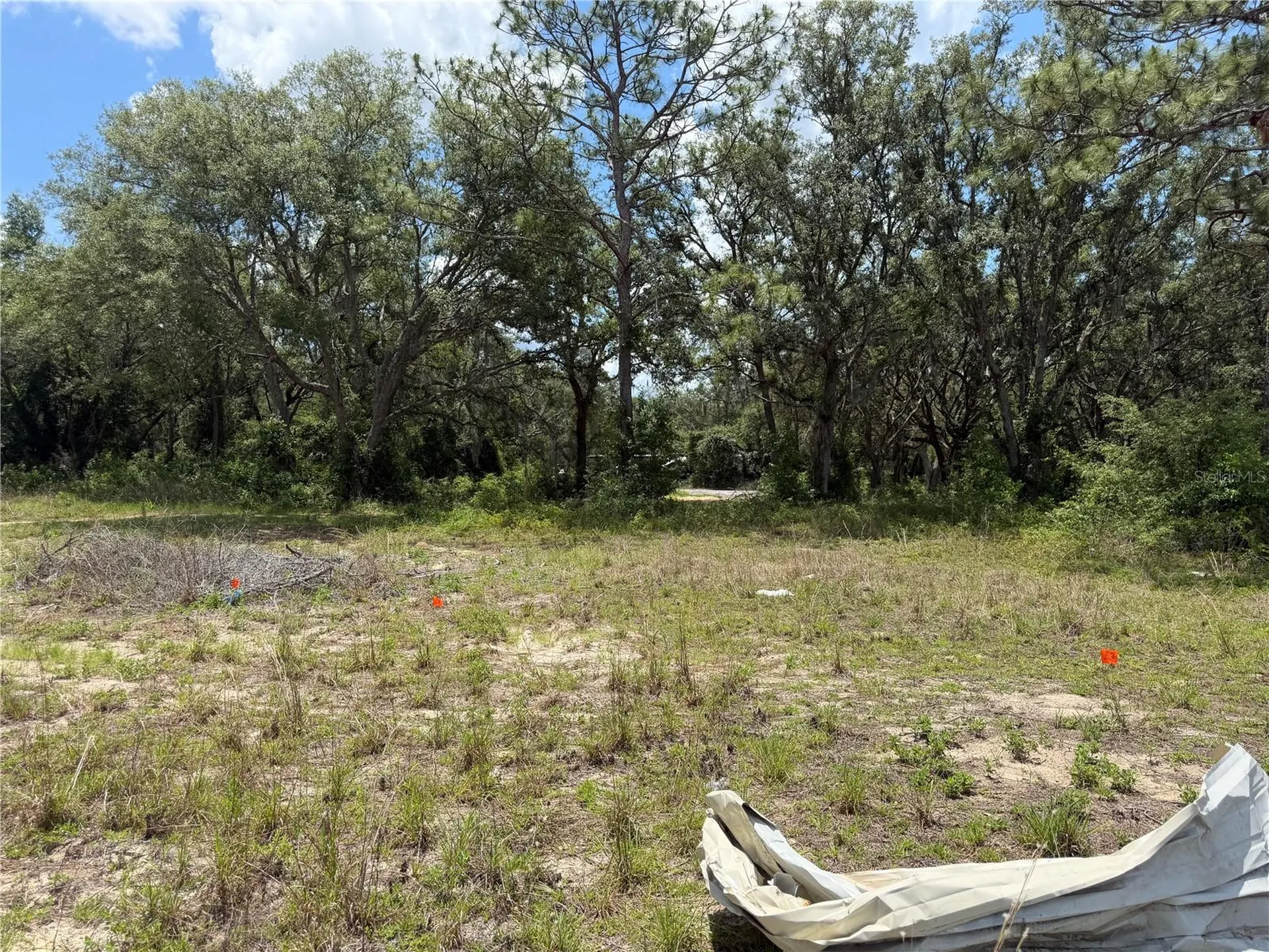 3310 Treiman Boulevard Dade City FL 33523