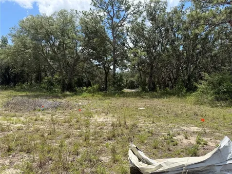 3310 Treiman Boulevard Dade City FL 33523