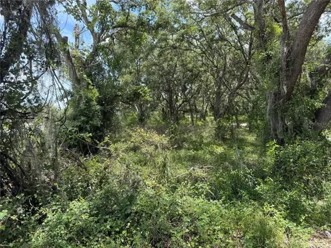 3310 Treiman Boulevard Dade City FL 33523