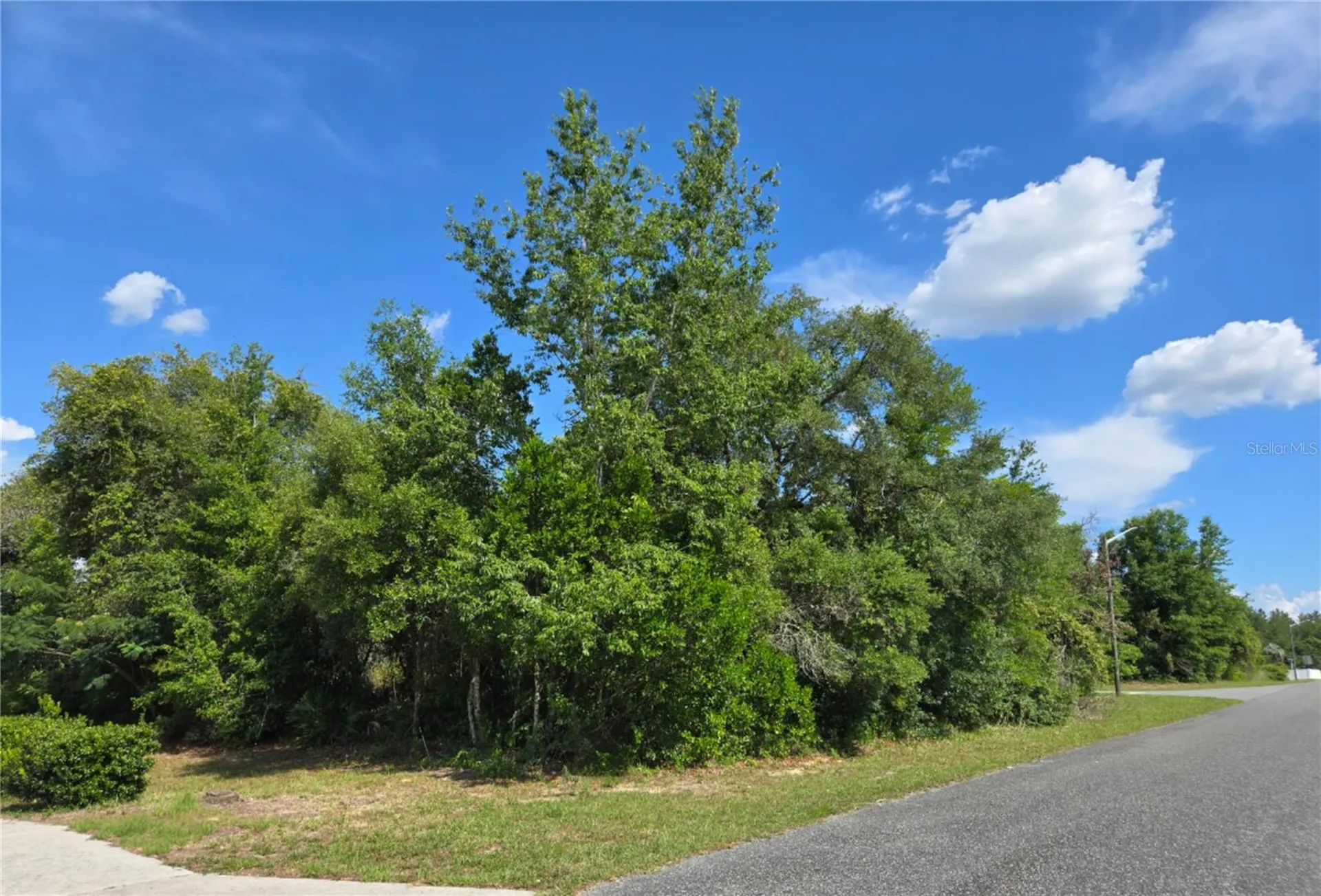 Tbd Marion Oaks Drive Ocala FL 34473