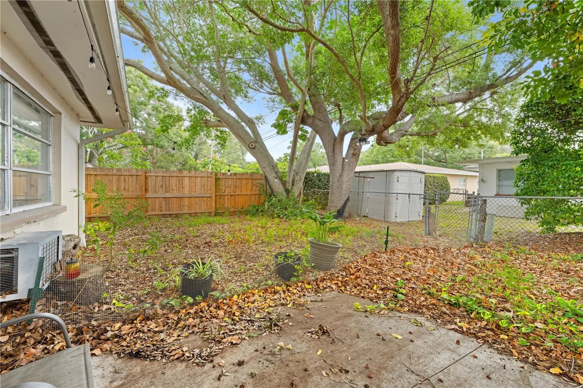611 Patricia Avenue Dunedin FL 34698