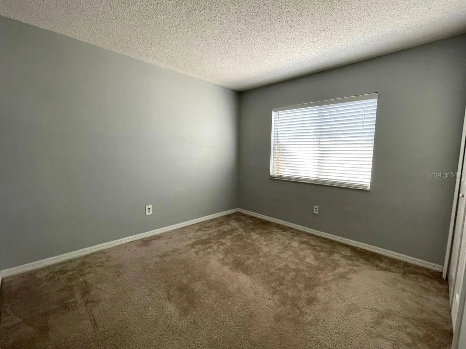 13314 Prestwick Drive Riverview FL 33579