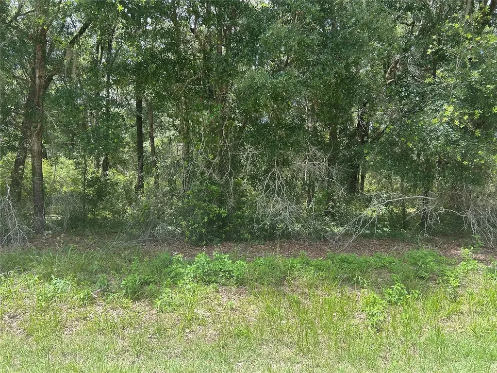 SW 111 Lane Dunnellon FL 34432