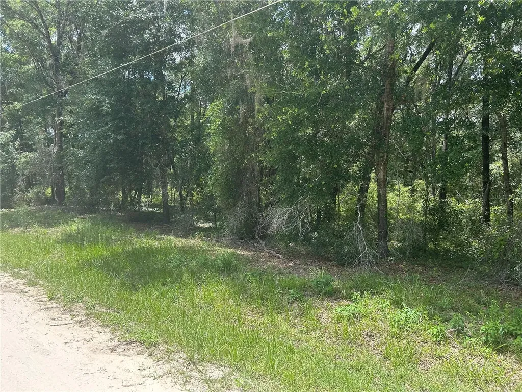 SW 111 Lane Dunnellon FL 34432