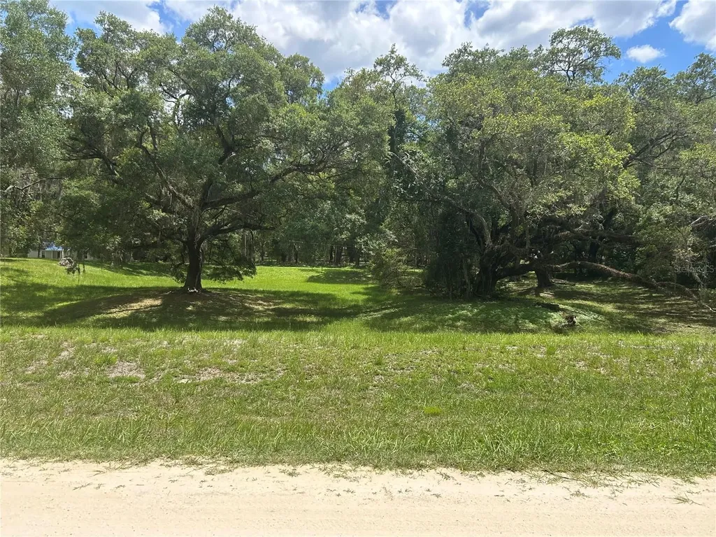 SW 111 Lane Dunnellon FL 34432