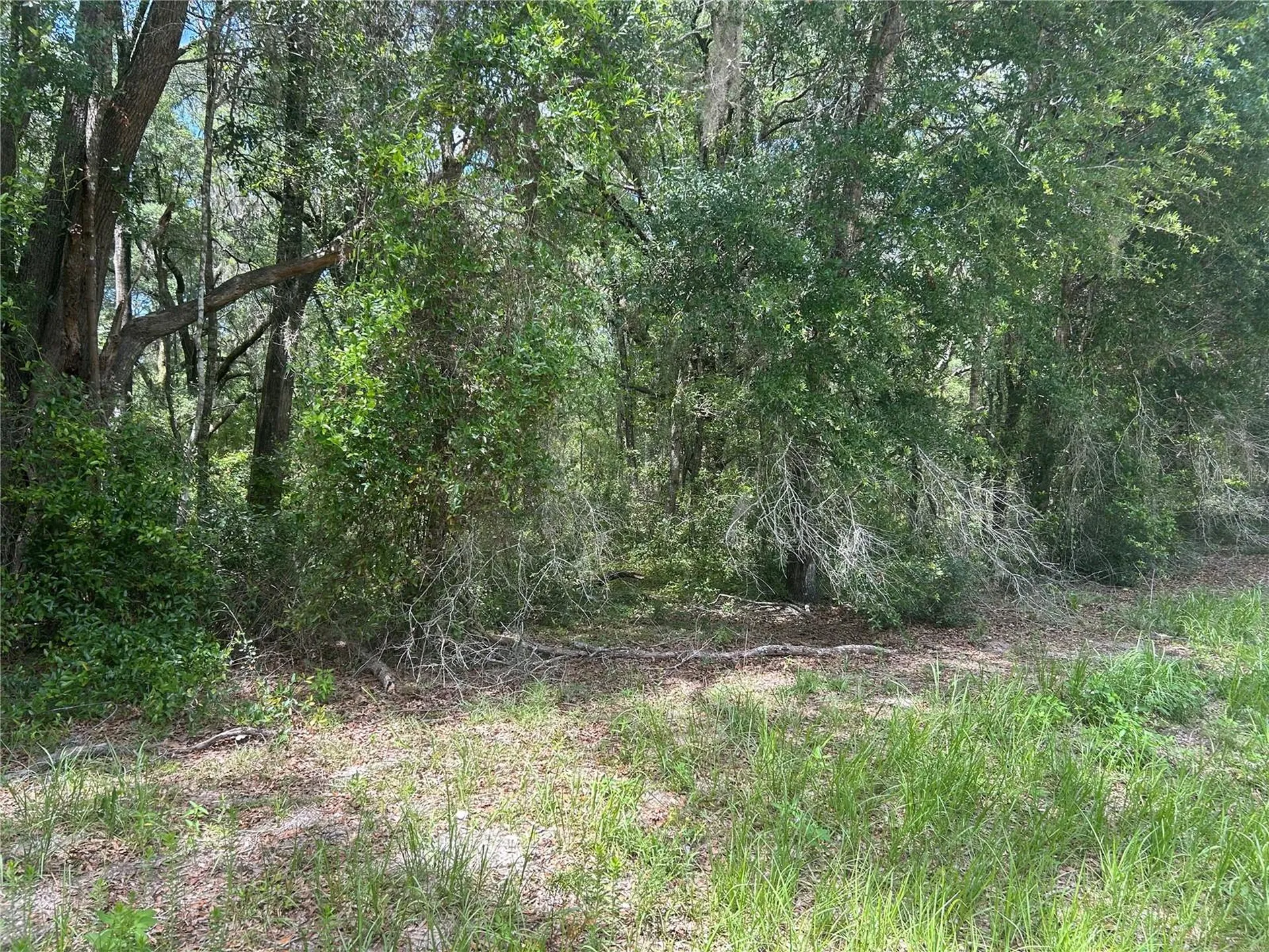 SW 111 Lane Dunnellon FL 34432