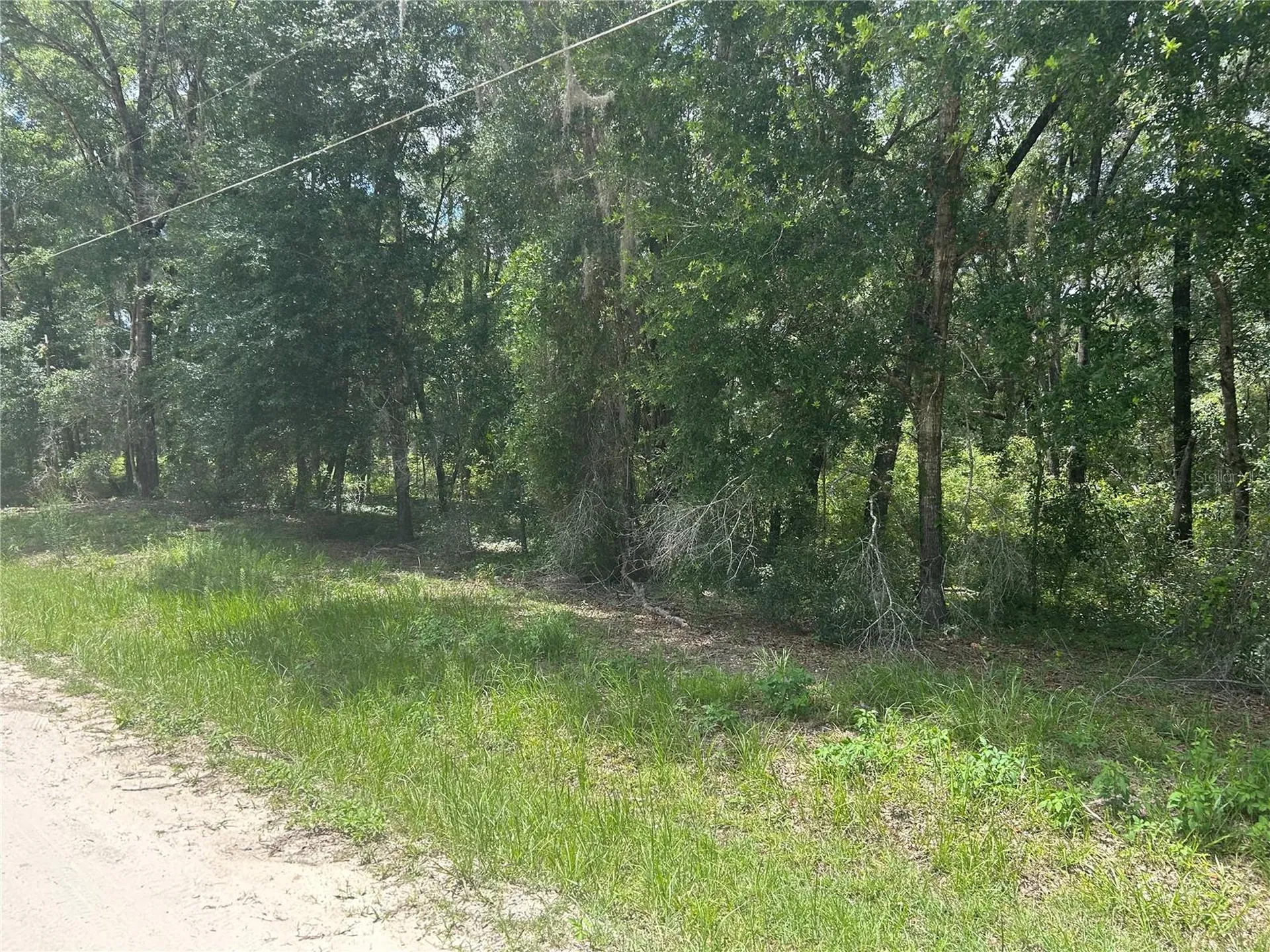 SW 111 Lane Dunnellon FL 34432