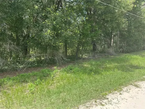 SW 111 Lane Dunnellon FL 34432