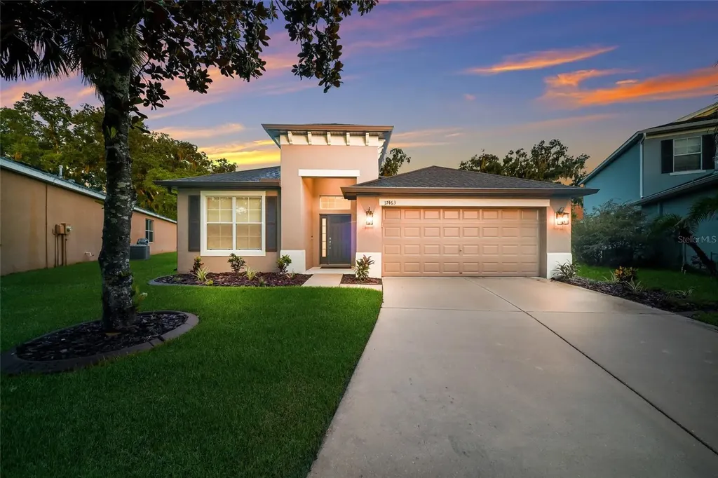 17463 New Cross Circle Lithia FL 33547