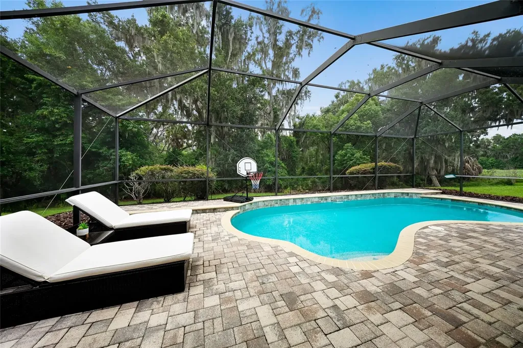 17463 New Cross Circle Lithia FL 33547