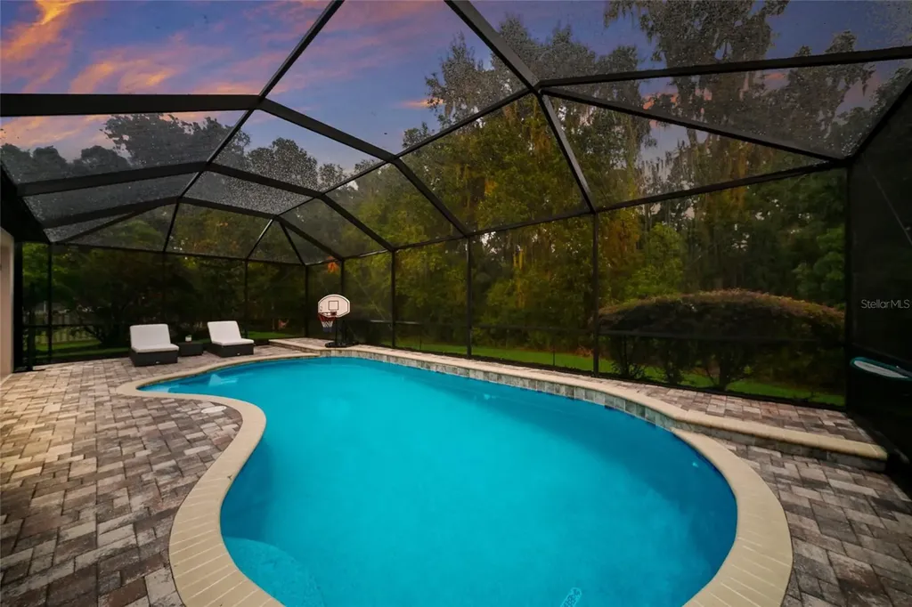 17463 New Cross Circle Lithia FL 33547