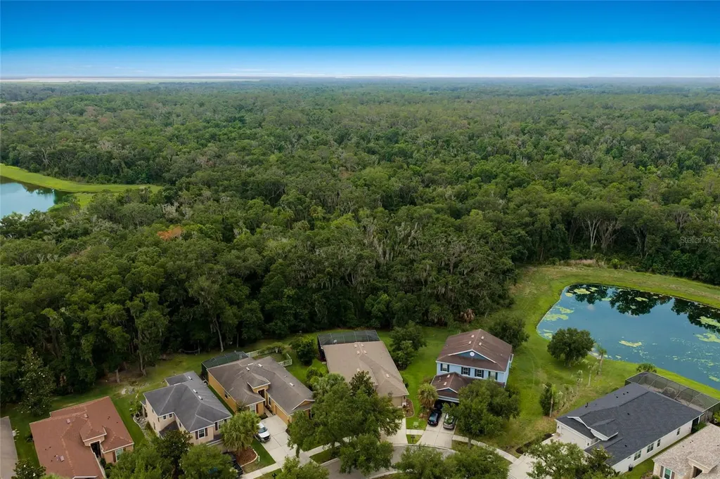 17463 New Cross Circle Lithia FL 33547