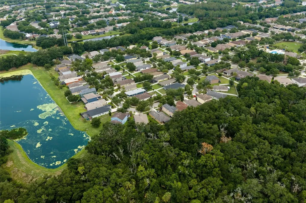17463 New Cross Circle Lithia FL 33547