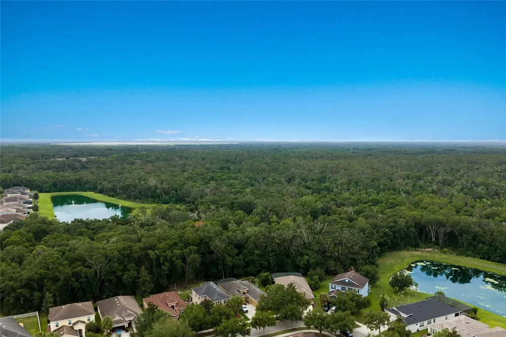 17463 New Cross Circle Lithia FL 33547