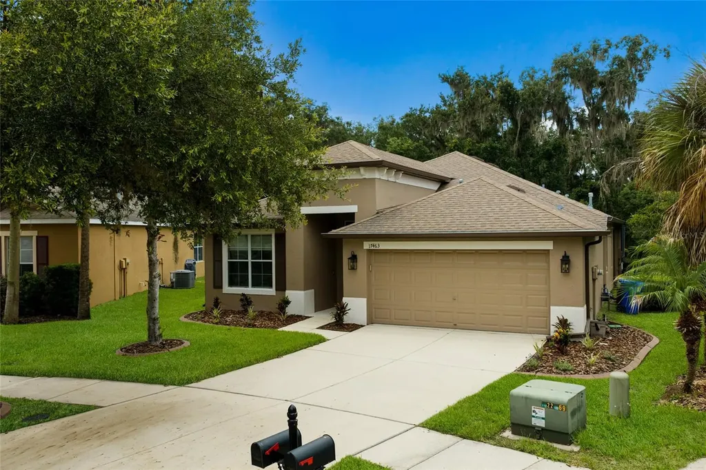 17463 New Cross Circle Lithia FL 33547