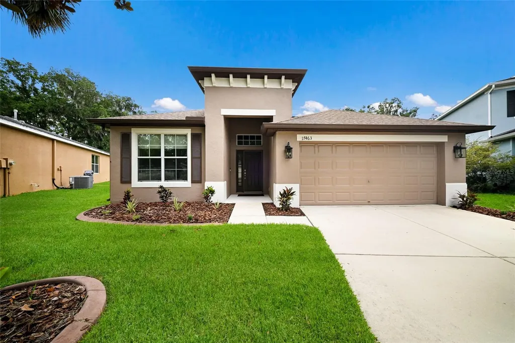 17463 New Cross Circle Lithia FL 33547