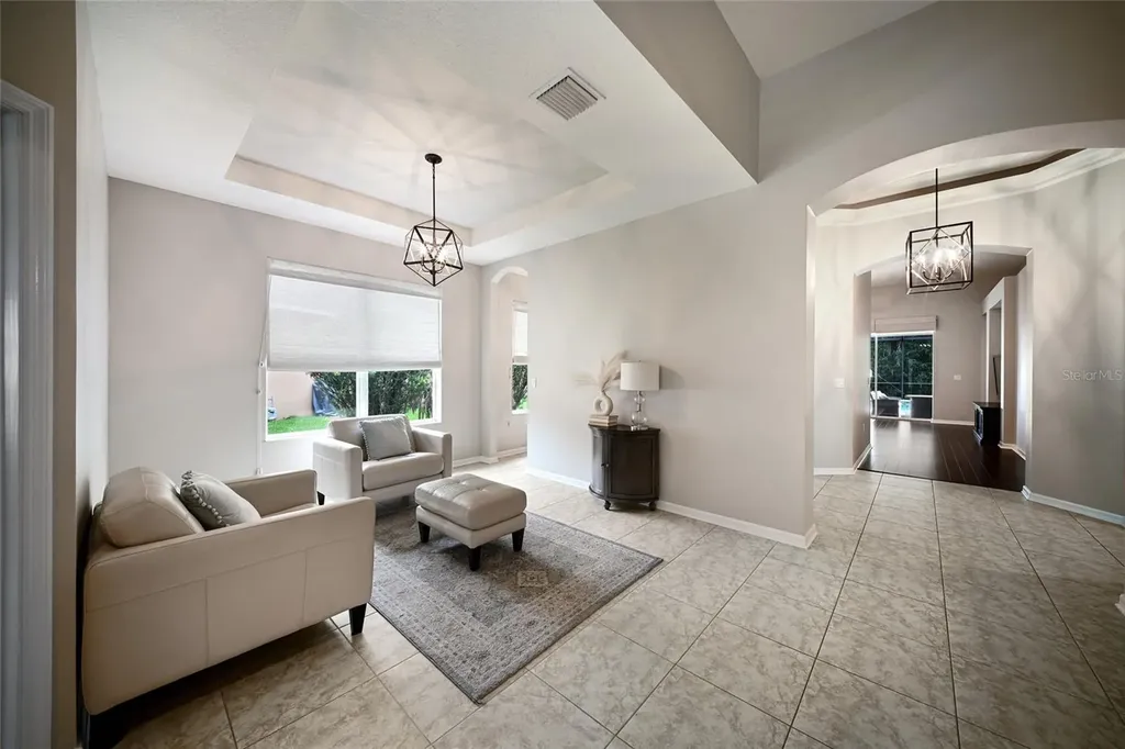 17463 New Cross Circle Lithia FL 33547