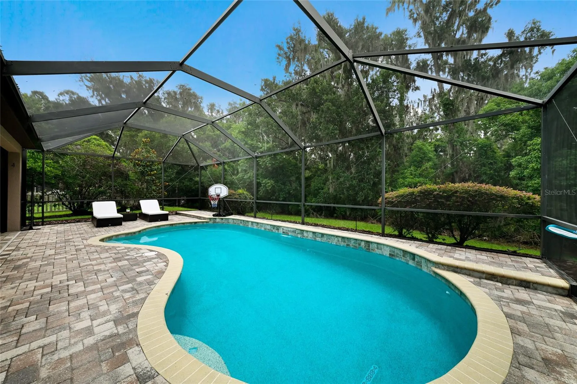 17463 New Cross Circle Lithia FL 33547