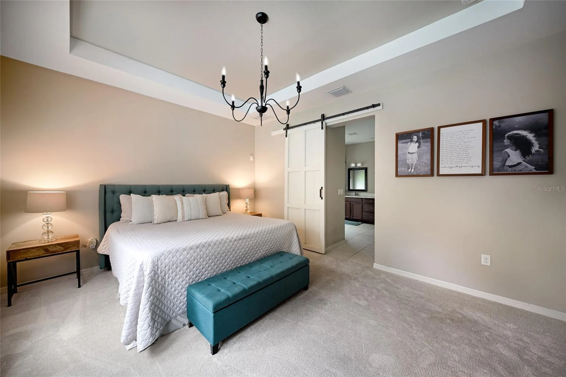 17463 New Cross Circle Lithia FL 33547