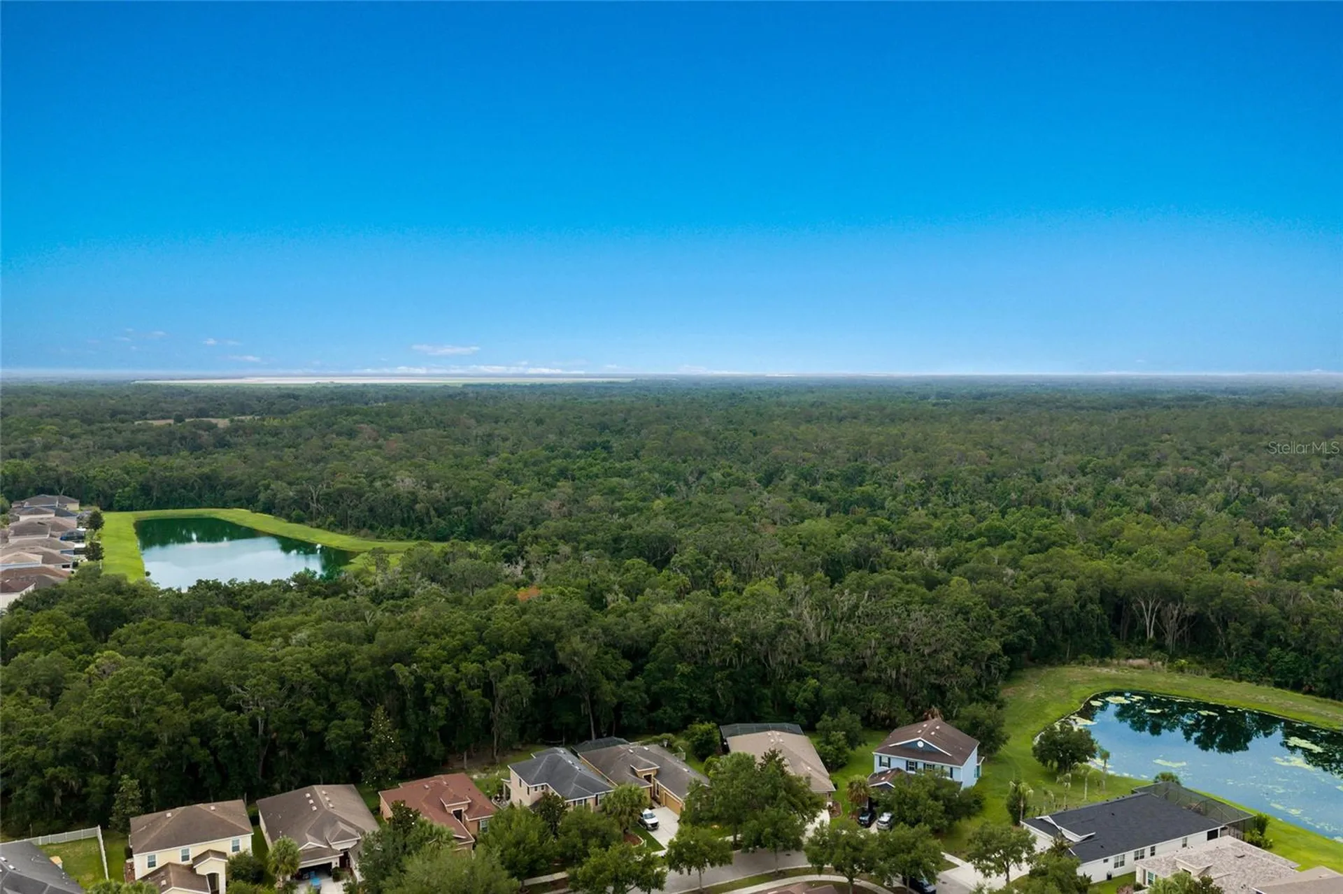 17463 New Cross Circle Lithia FL 33547