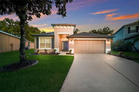 17463 New Cross Circle Lithia FL 33547
