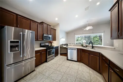17463 New Cross Circle Lithia FL 33547