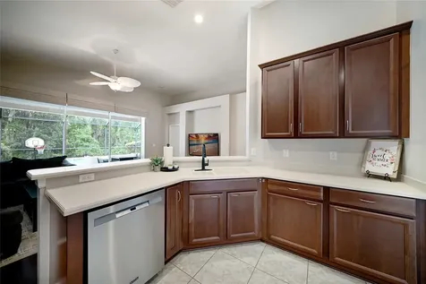 17463 New Cross Circle Lithia FL 33547