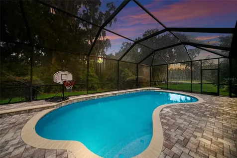 17463 New Cross Circle Lithia FL 33547
