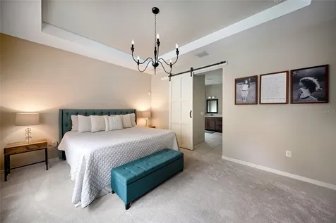 17463 New Cross Circle Lithia FL 33547