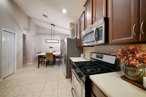 17463 New Cross Circle Lithia FL 33547
