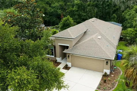 17463 New Cross Circle Lithia FL 33547