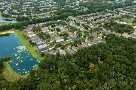 17463 New Cross Circle Lithia FL 33547