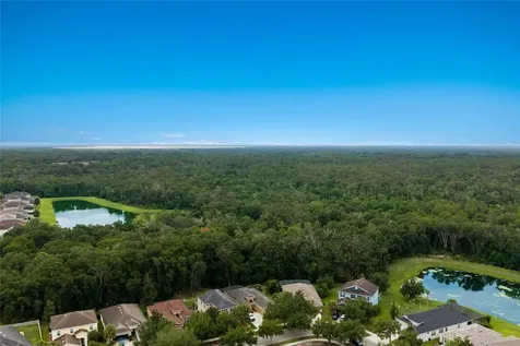 17463 New Cross Circle Lithia FL 33547