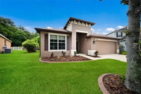 17463 New Cross Circle Lithia FL 33547