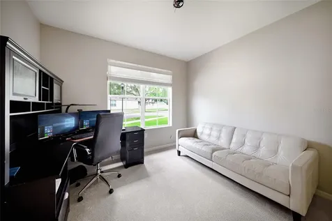 17463 New Cross Circle Lithia FL 33547