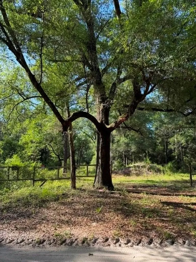 9587 SW 151st Place Dunnellon FL 34432