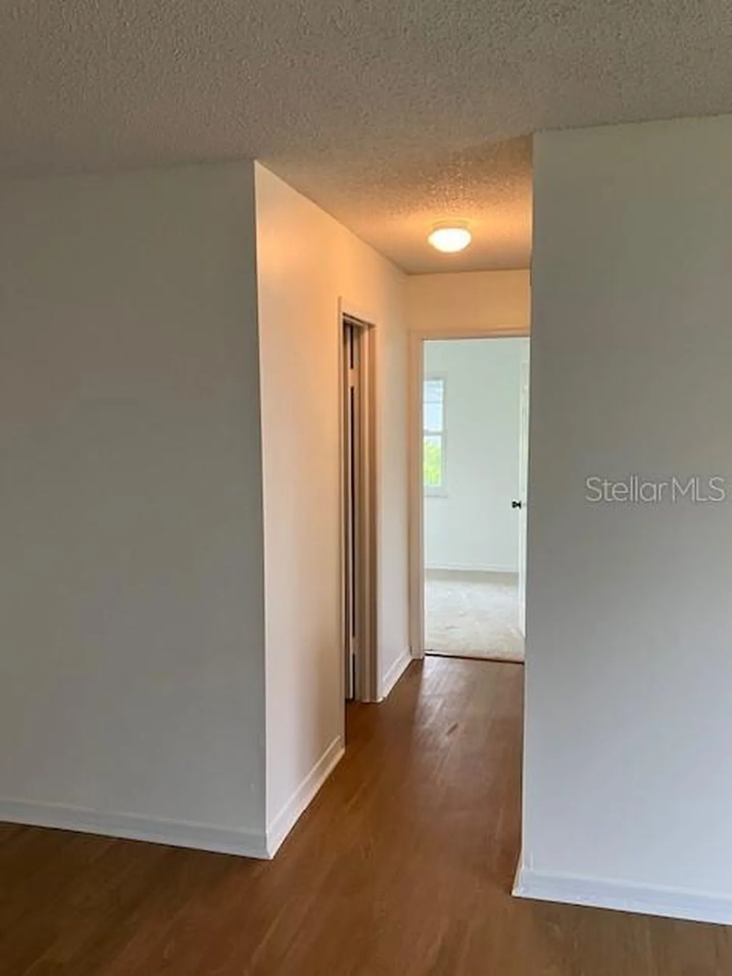503 Chancellar Drive Lutz FL 33548