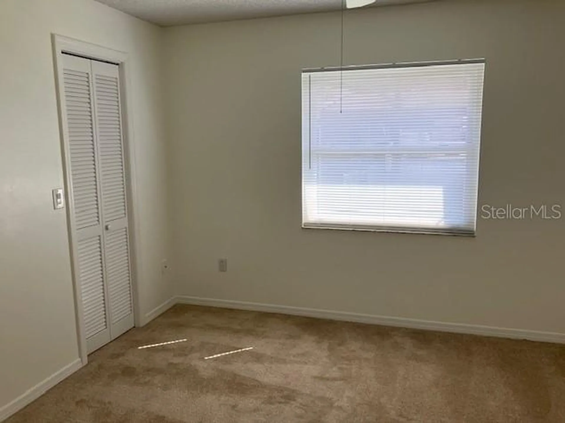 503 Chancellar Drive Lutz FL 33548