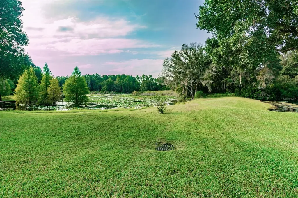 1107 Oxbridge Drive Lutz FL 33549