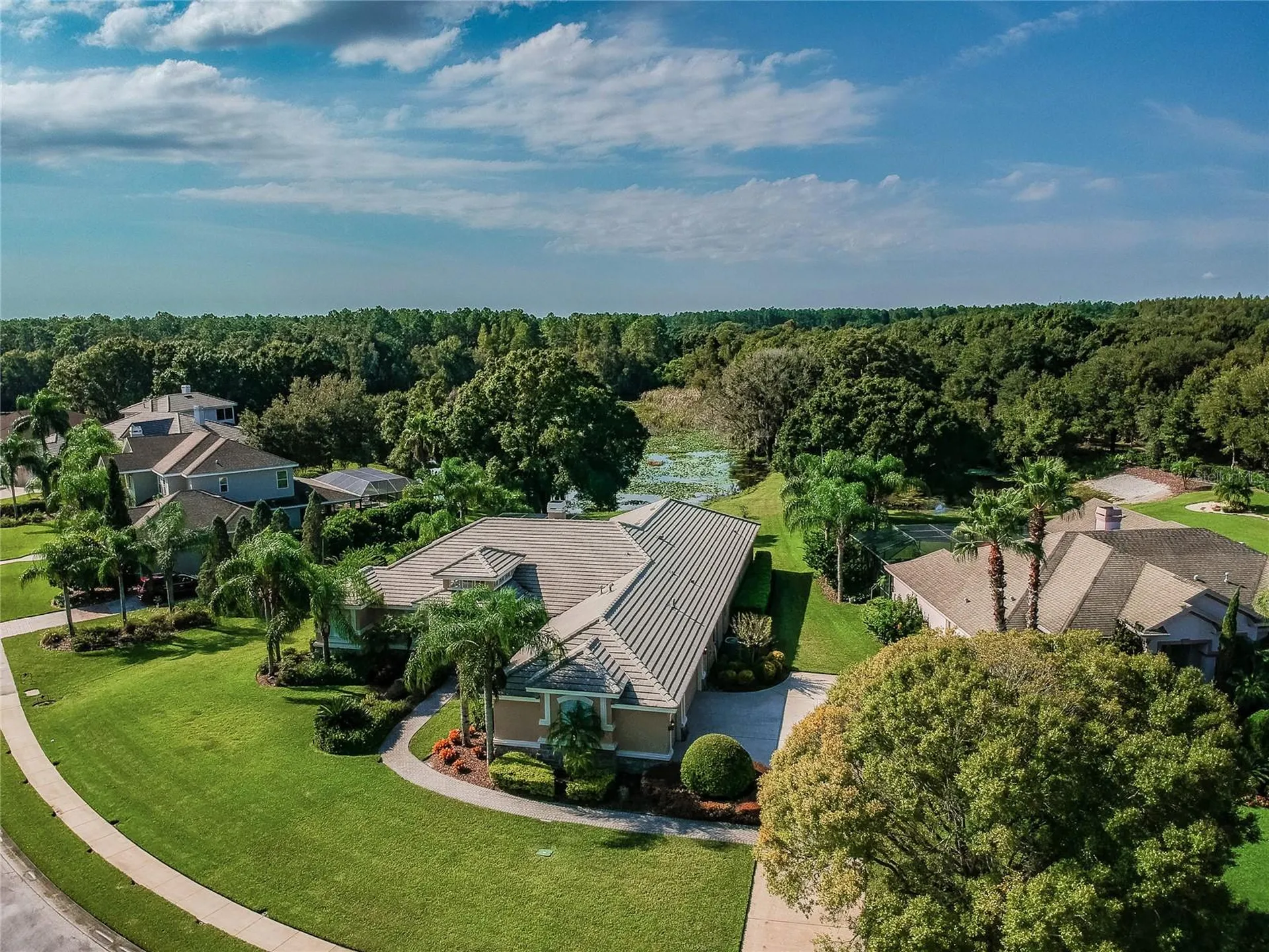 1107 Oxbridge Drive Lutz FL 33549