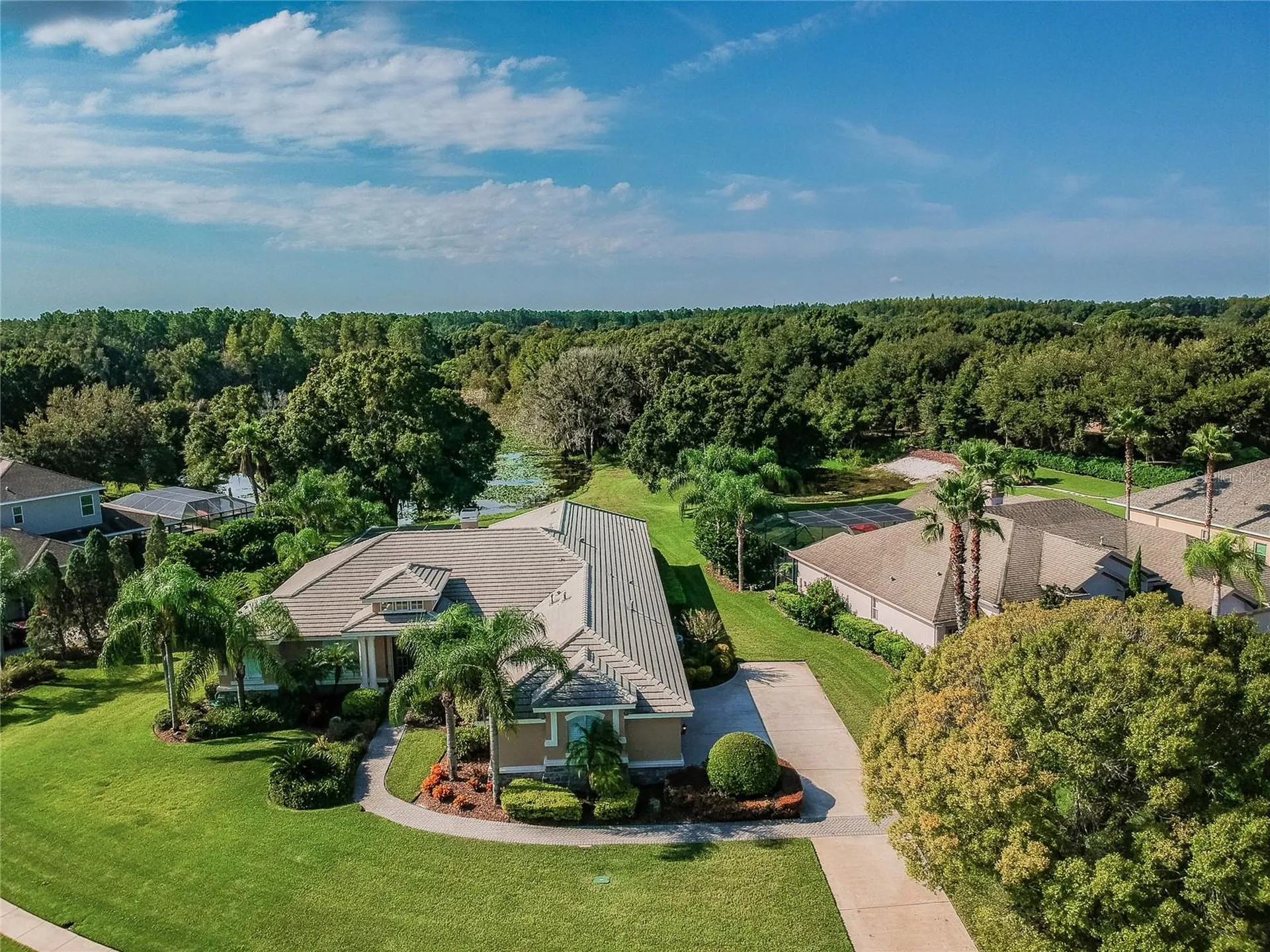 1107 Oxbridge Drive Lutz FL 33549